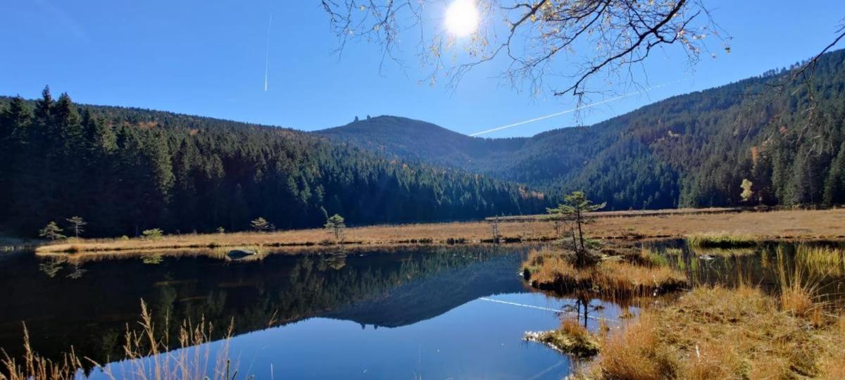 Fewo H.Reusswig Arrach Dış mekan fotoğraf